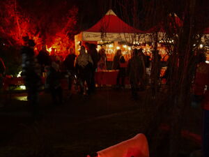Im Vordergrund eine Stuhl mit Decke darauf har eine schwarz-weiße Katze Platz genommen. Im Hintergrund beleuchteter AWO Pavillon mit Menschen davor.